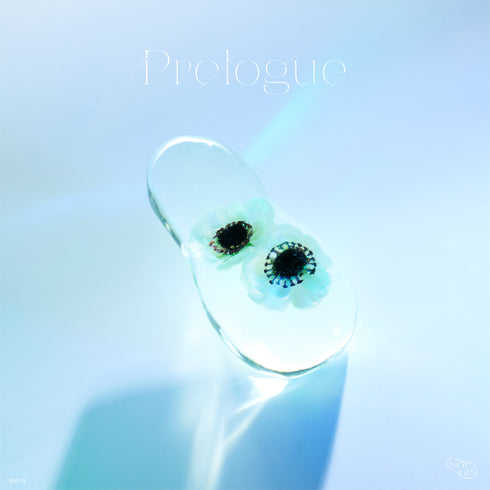 【CD】Nornis/Prologue(初回限定盤)